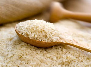 東北大米跨越千里，新鮮直達榕城市民餐桌